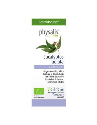 Aceite esencial de eucalipto radiata bio 10 ml Physalis