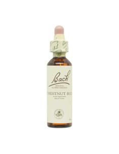 Flor nº 7 Brote de castaño (chestnut bud) 20ml Bach