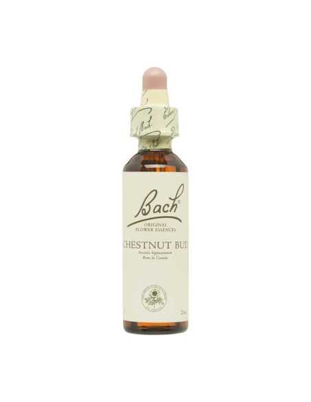 Flor nº 7 Brote de castaño (chestnut bud) 20ml Bach