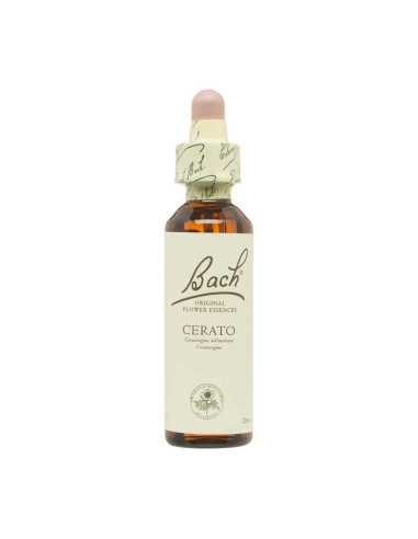 Flor nº 5 Ceratostigma (cerato) 20ml Bach