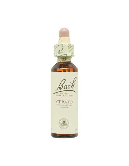 Flor nº 5 Ceratostigma (cerato) 20ml Bach