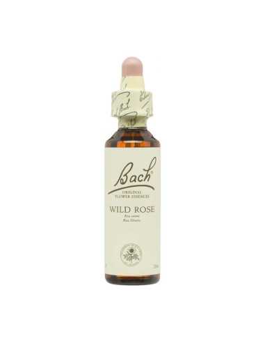 Flor nº 37 Rosa silvestre (wild rose) 20ml Bach