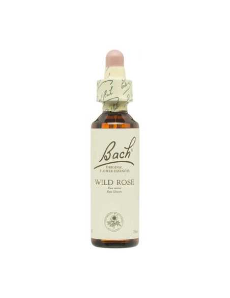 Flor nº 37 Rosa silvestre (wild rose) 20ml Bach