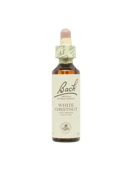Flor nº 35 Castaño de indias (white chestnut) 20ml Bach