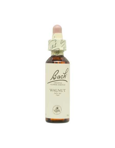 Flor nº 33 Nogal (walnut) 20ml Bach