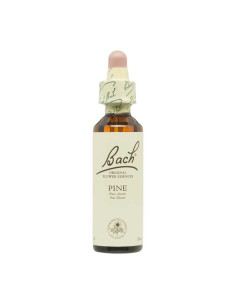 Flor nº 24 Pino silvestre (pine) 20ml Bach