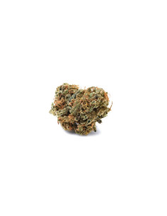 Flor de CBD Premium Orange Mood-Mandarin cookies 2g Cannactiva