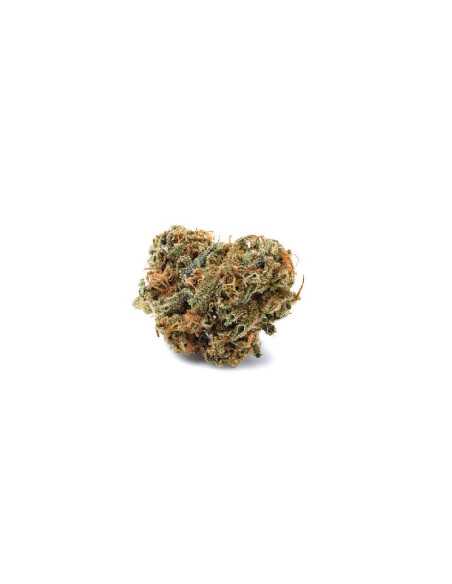 Flor de CBD Premium Orange Mood-Mandarin cookies 2g Cannactiva