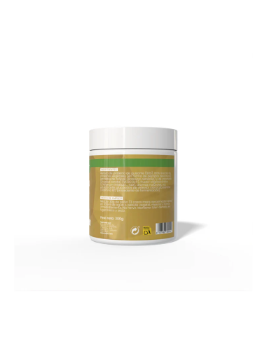 Proteina Vegana Vainilla 300g Sotya SPORT