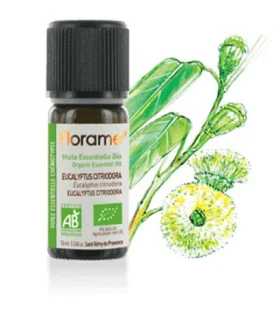Aceite puro de Eucalipto Citriodora-10 ml | Aceite eucalipto azul