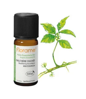 Aceite esencial Gaultheria Procumbens-10 ml | Esencias para masajes relajantes