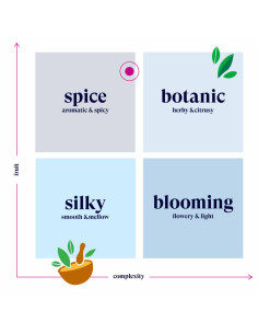 Sleepy Me Bio 20 filtros English Tea Shop