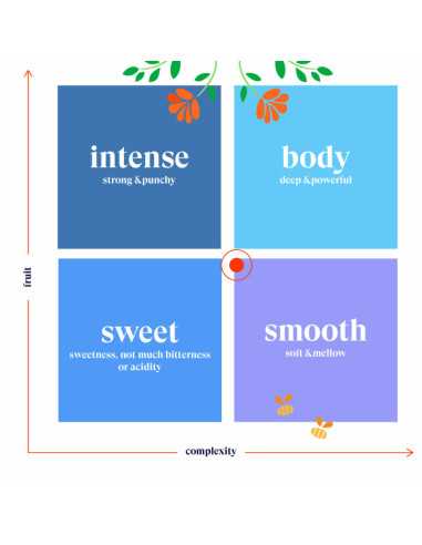 Te verde menta Bio 20 filtros English Tea Shop