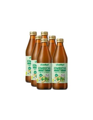 Kombucha Lima y Jengibre Bio 6x330ml Voelkel