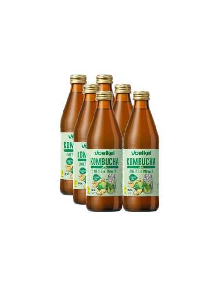 Kombucha Lima y Jengibre Bio 6x330ml Voelkel