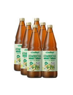 Kombucha Lima y jengibre bio 6x750ml Voelkel