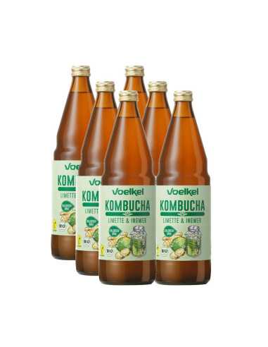 Kombucha Lima y jengibre bio 6x750ml Voelkel