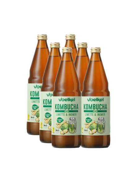 Kombucha Lima y jengibre bio 6x750ml Voelkel