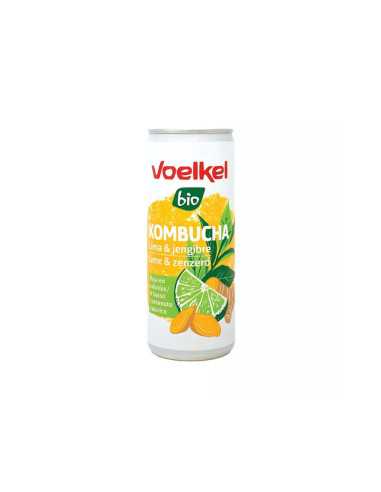 Kombucha Lima y Jengibre lata bio 250ml Voelkel