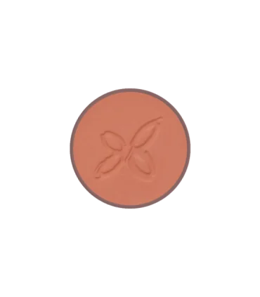 Colorete Bois de Rose 01-4,5 gr | Colorete bio