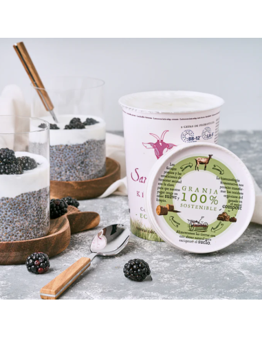 Kefir de cabra 12+2 con probioticos Bio 420g Santa Gadea