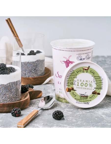 Kefir de cabra 12+2 con probioticos Bio 420g Santa Gadea