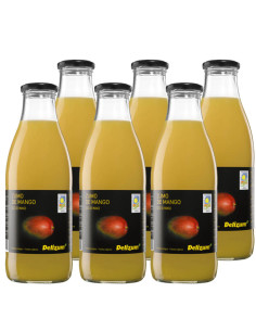 Jugo de Mango bio 6x750ml Delizum