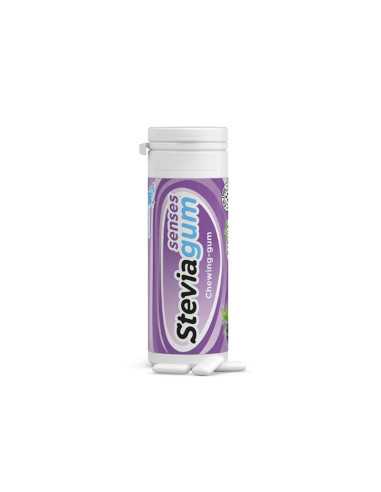 Chicles Xylitol Senses 30g Steviagum