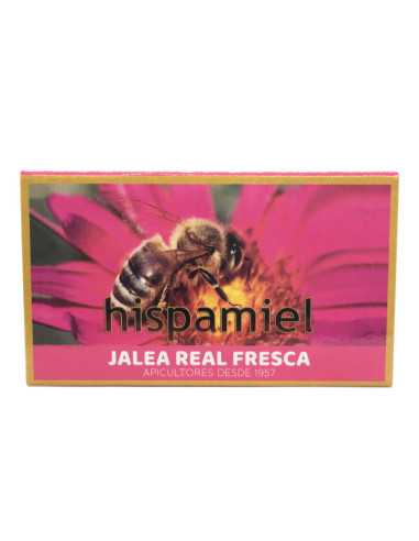 Jalea real fresca 20g Hispamiel