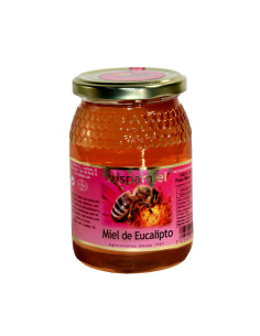 Miel de eucalipto 500g Hispamiel