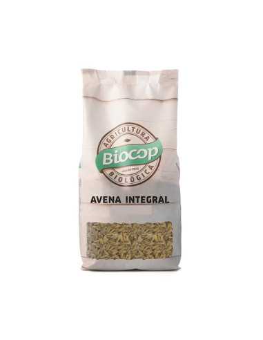 Avena bio 500g Biocop