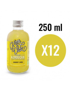 Kombucha Jengibre y Limón (Gingervida) Bio 12x250ml Komvida