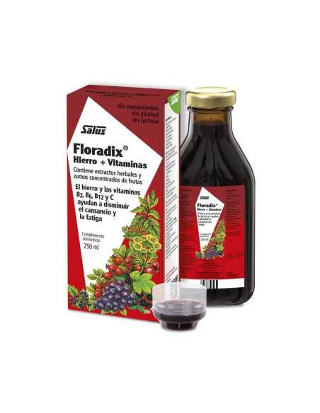 Floradix 250ml Salus
