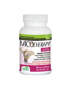 Linfo 90 capsulas Bio Micotherapy AVD Reform