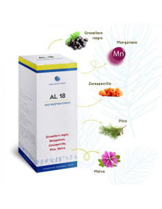AL 18 (vias respiratorias) 125ml Mahen