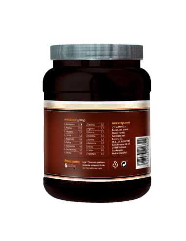 Proteina 100% Whey Chocolate 500g Sotya