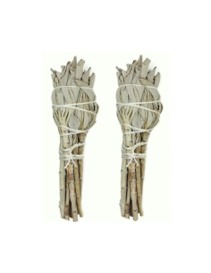 Atado Salvia Blanca 11-12 cm