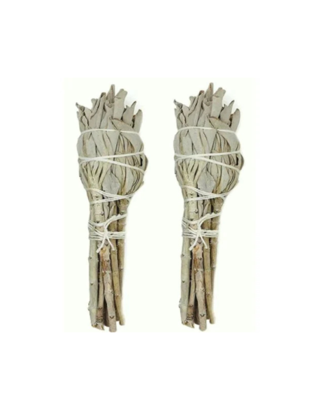 Atado Salvia Blanca 11-12 cm